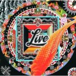 The Distance to Here - Live